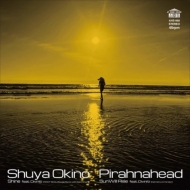  / Pirahnahead/Shine Feat. Diviniti (Root Soul Boogie Remix With Soki Kimura) / Sun Will Rise Fe