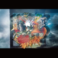 Heaven feat.Gotch / Affordance feat.Daoko (7 inch single record)