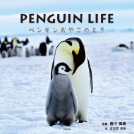 香川美穂/Penguin Life ペンギンおやこのとき