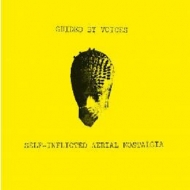 Guided By Voices/Self-inflicted Aerial Nostalgia