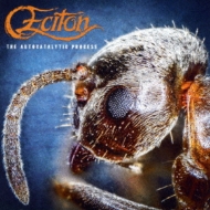 The Autocatalytic Process