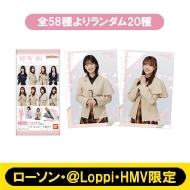 �y�H�i�z �J�[�h�t�c�C���E�G�n�[�X20����box(�S58���胉���_��)�ܖ����� 20240401