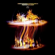 Protect Your Light (LP)