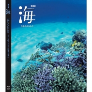 Special Exhibition The OCEAN -The Origin of Life