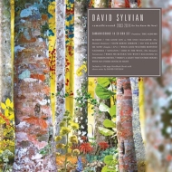 デヴィッド・シルヴィアン CD10枚組 限定ボックスセット『samadhisound