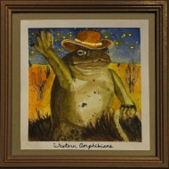 Anita Velveeta/Western Amphibians (Ltd)
