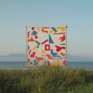 An Ever C Hanging View