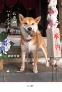 �����̃n�i�����