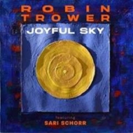 Joyful Sky (Vinyl Record)