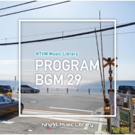 TV Soundtrack/Ntvm Music Library bgm29