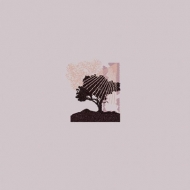 Land Of Talk/Performances
