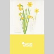 Daffodil 19/Circut