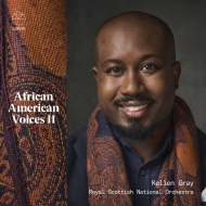 　オムニバス（管弦楽）/African American Voices 2： K. gray / Royal Scottish National O