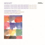 ⡼ĥȡ1756-1791/Flute Concerto 1 2 Etc J. walter(Fl) Blomstedt / Skd (Ltd)