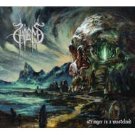 Stranger In Wasteland