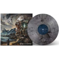 Stranger In Wasteland