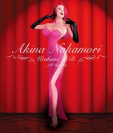 Akina Nakamori -Utahime Double Decade