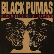 Black Pumas/Chronicles Of A Diamond