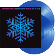 Warren Haynes/Benefit Concert Vol. 20 Vinyl Vol. 3 (Blue) (Colored Vinyl)