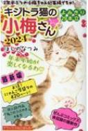 デラックスねこぱんち キジトラ猫の小梅さん 2024 にゃんcomi : ほしの