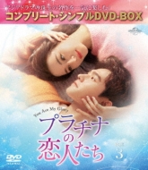 ドラマ/プラチナの恋人たち Box3 コンプリート シンプルdvd-box (Ltd)