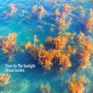 Turn On The Sunlight(Carlos Nino  Jesse Peterson)/Ocean Garden