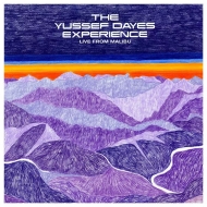 Yussef Dayes Experience (Live From Malibu)