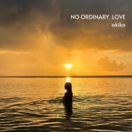 No Ordinary Love (Vinyl)