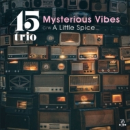 Mysterious Vibes / A Little Spice