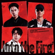 CHANSUNG(2PM)  AK-69 feat. CHANGMIN(2AM)/Into The Fire