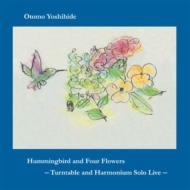 ͧɱ/Hummingbird And Four Flowers -turntable And Harmonium Solo Live