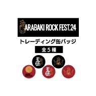ARABAKI ROCK FEST/ȥ졼ǥ󥰴̥Хå 5