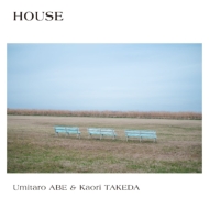 House (Vinyl)