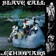 Slave Call (Orange Vinyl/180 gram heavy vinyl record/Music On Vinyl)