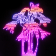 Enter Shikari/Dancing On The Frontline (Neon Pink Transparent) (+blu Ray)
