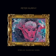 ピーターマーフィー　コンポジションCD＋VHS＋BOOK Peter Murphy (ピーターマーフィー)｜商品一覧｜HMV&BOOKS