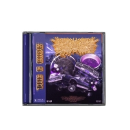 Peelingflesh/G Code