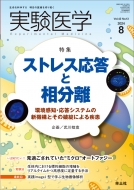 ������w 2024�N 8����