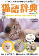 LꎫT ɂ񂱂̃L`킩Ⴄ!