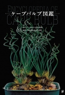 �P�[�v�o���u�}�� ��A�t���J���Y�̋����A�� ���I230�̈ȏ���f��