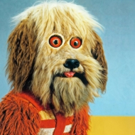 Analysis Paralysis Cd -Autographed