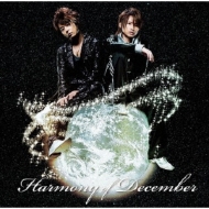KinKi Kids/Harmonyofdecember