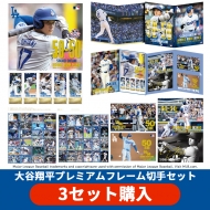 大谷翔平プレミアムフレーム切手セット 二次受付開始！|グッズ