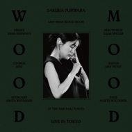 ƣ/Sakura Fujiwara Tour 2024 Wood Mood Live At Nhk Hall (Ltd)
