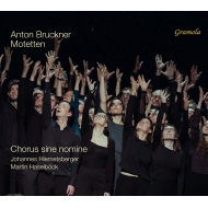 ֥åʡ (1824-1896)/Motets Hiemetsberger / Sine Nomine Cho Haselbock(Organ)