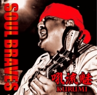 SOUL BRAVES