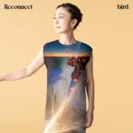 bird /Reconnect (Ltd)