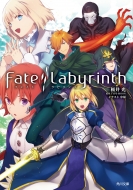 Fate/Labyrinth p앶