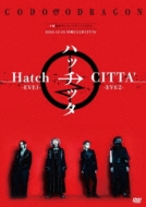 コドモドラゴン 14周年 ONEMAN TOUR「ハッチッタ Hatch→CITTA