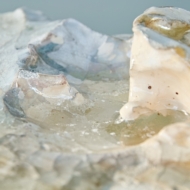 Beta [2025 RECORD STORE DAY Limited]